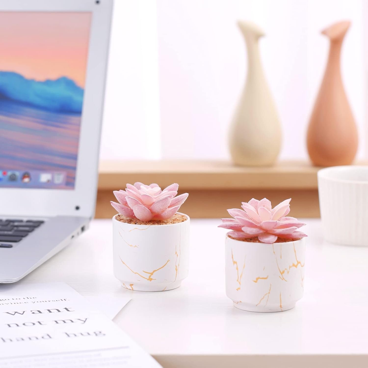 Artificial Plants and Succulents in 2 White Ceramic Pots,Small Fake Plants for Office and Desk Decor - 图片 2