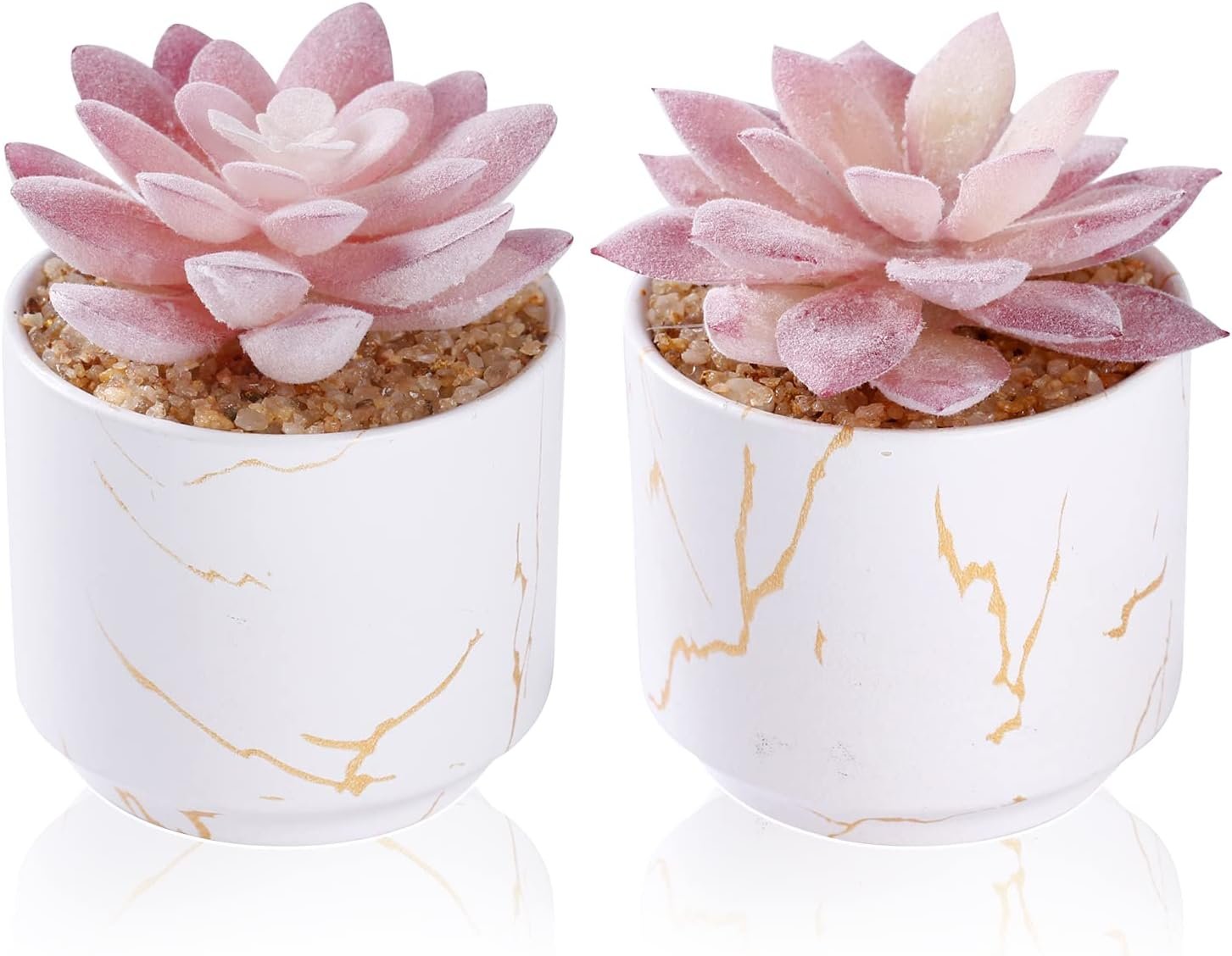 Artificial Plants and Succulents in 2 White Ceramic Pots,Small Fake Plants for Office and Desk Decor