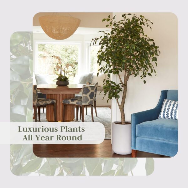 Tree Appearance, Taupe Planter Pot Included - 图片 2