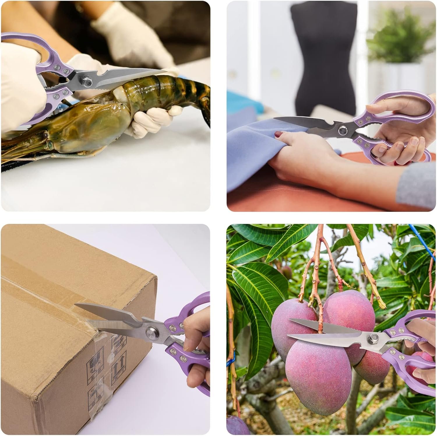 Ultra Sharp Stainless Steel Kitchen Shears Dishwasher Safe, Cooking Shears for Chicken, Poultry, Fish, Meat, Herbs & Grapes with Non-Slip Grips - Purple - 图片 3